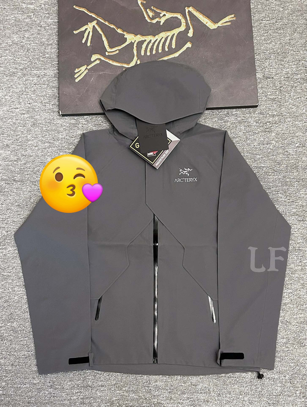 Arc'teryx Hooded Waterproof Shell Jacket