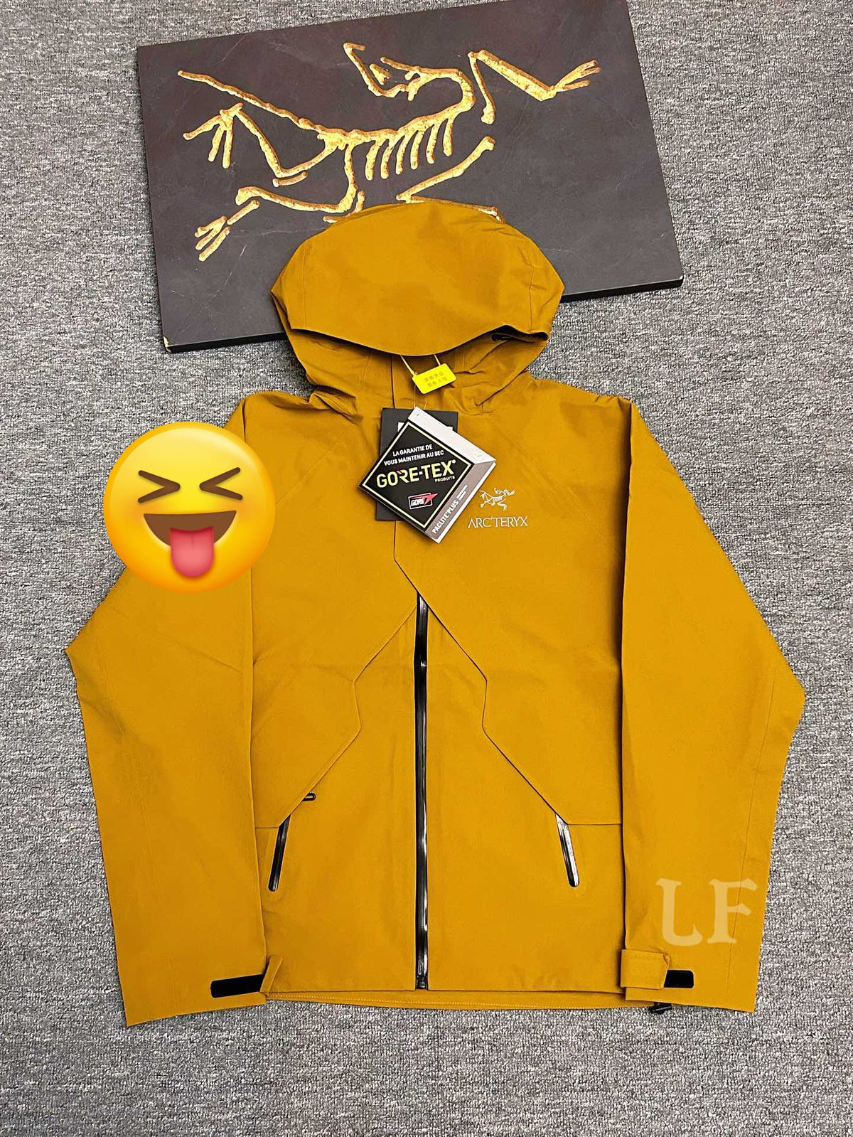 Arc'teryx Hooded Waterproof Shell Jacket