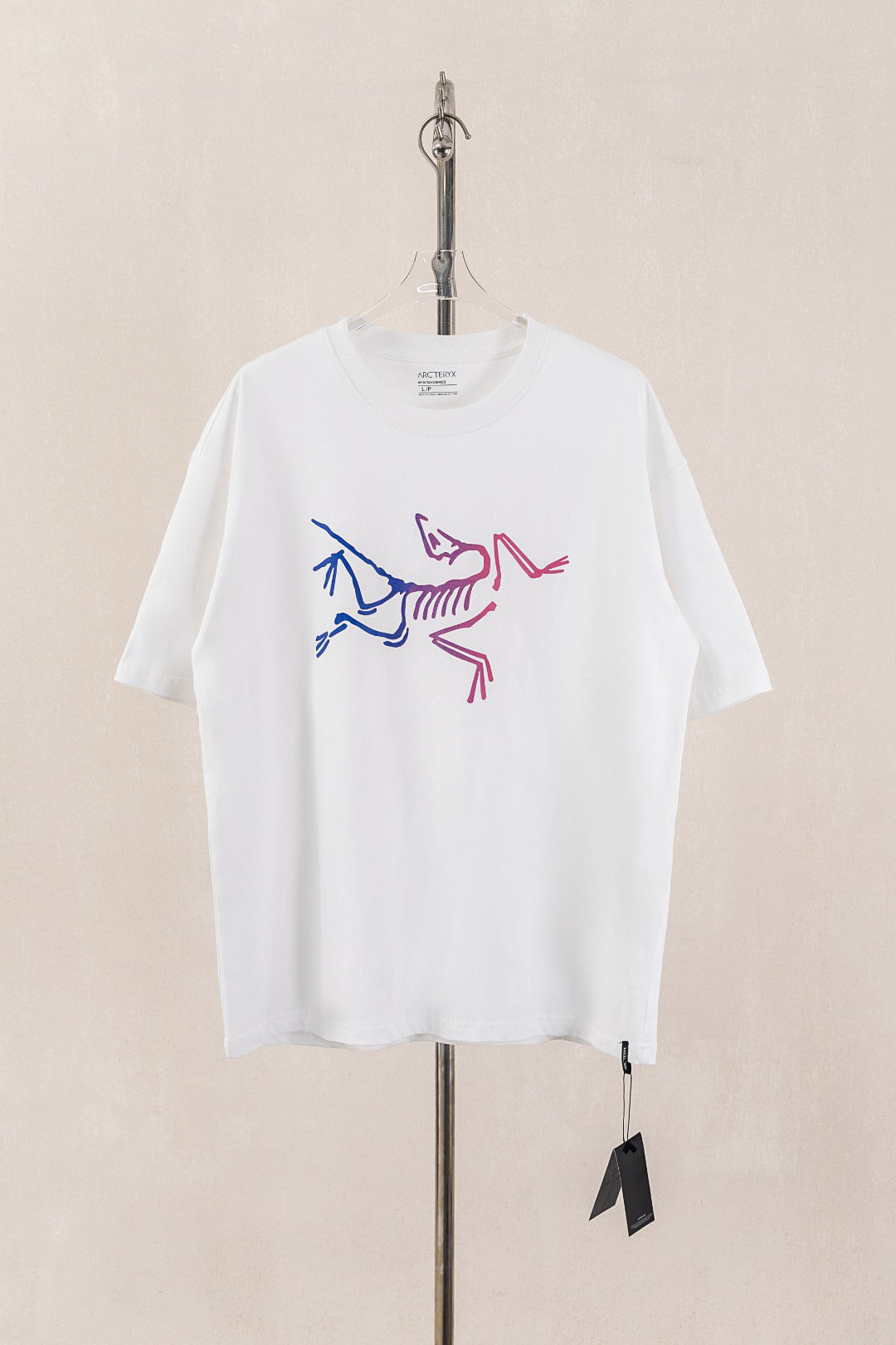 Arc'teryx Archaeopteryx Gradient Big Bird Short‑Sleeve T‑Shirt