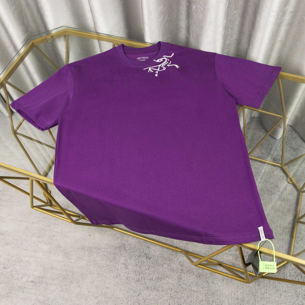 Arc'teryx ARC25FW Puff Print Skeleton Bird Heavyweight Unisex T-Shirt