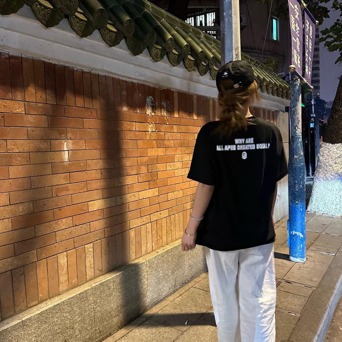 BAPE SS25 Pixel Font "Why Are All Apes Created Equal?" Double-Sided Oversized Heavyweight Unisex T-Shirt