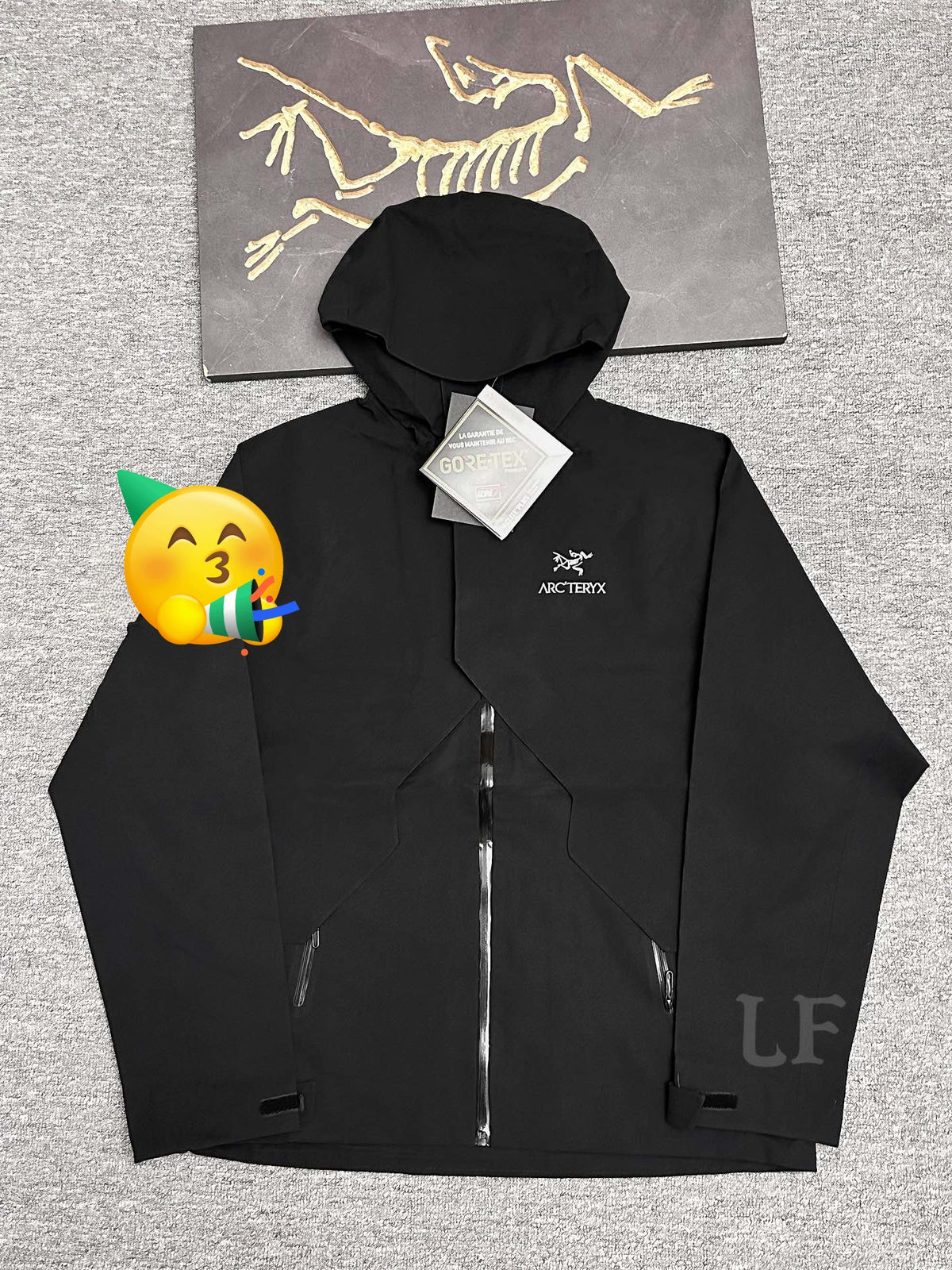 Arc'teryx Hooded Waterproof Shell Jacket