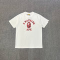 BAPE College Logo Colour Camo Oversized Unisex T-Shirt