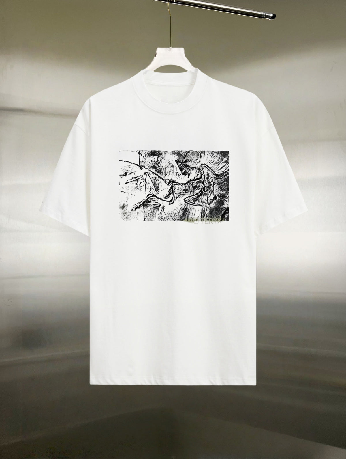 Arc'teryx Abstract Distressed Fossil‑Bird Graphic SS T‑Shirt