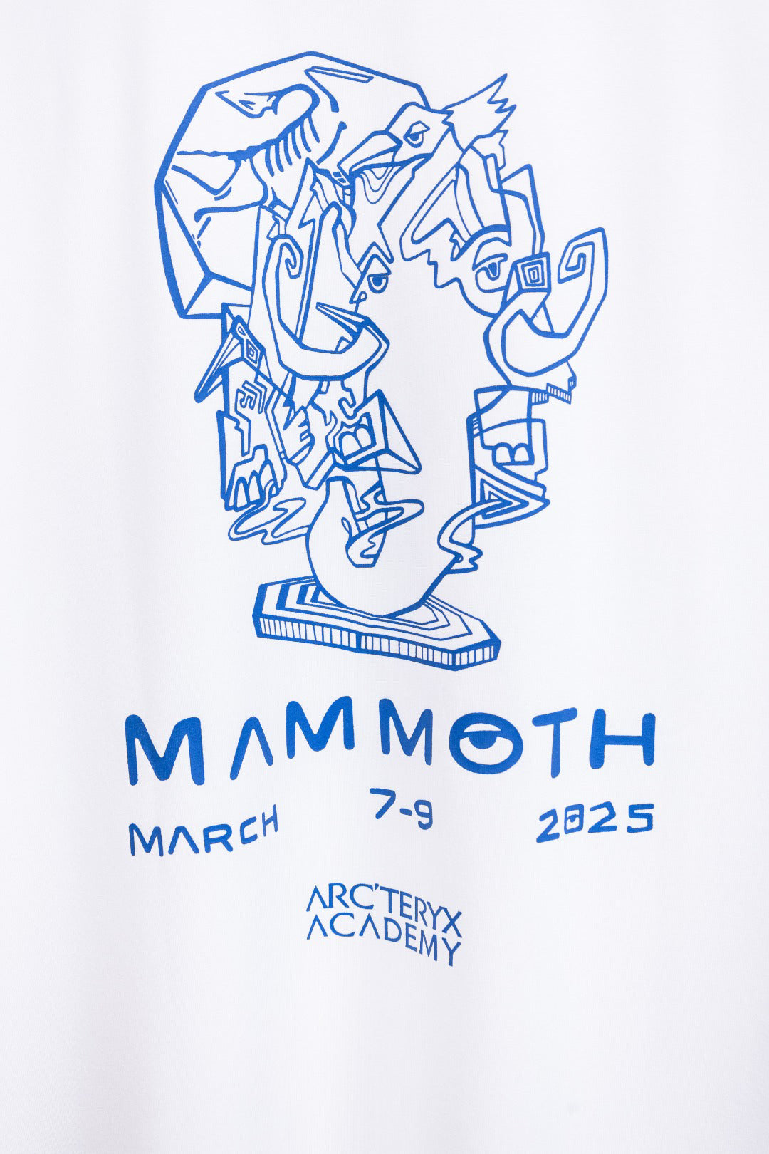 Arc'teryx Mammoth Graphic Crew Neck Short‑Sleeve T‑Shirt, Unisex Relaxed Fit Tee