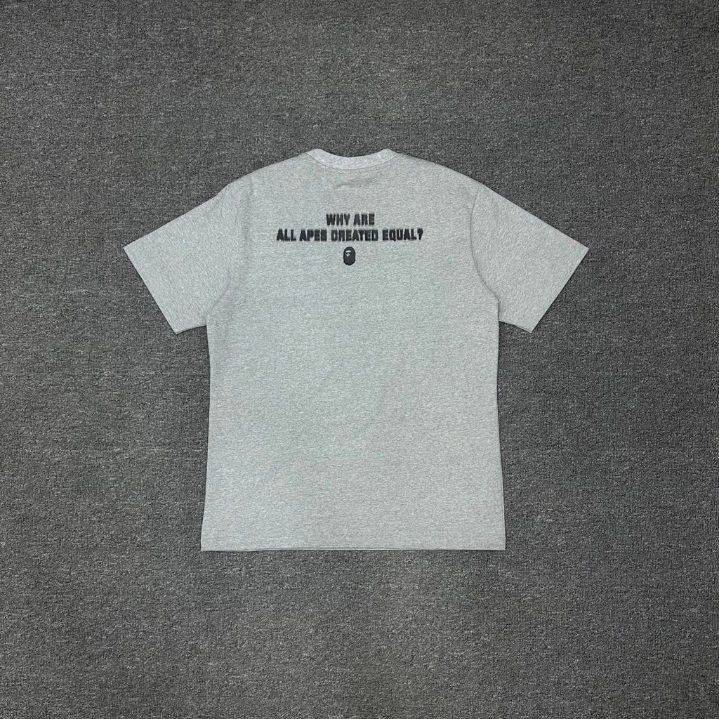 BAPE SS25 Pixel Font "Why Are All Apes Created Equal?" Double-Sided Oversized Heavyweight Unisex T-Shirt