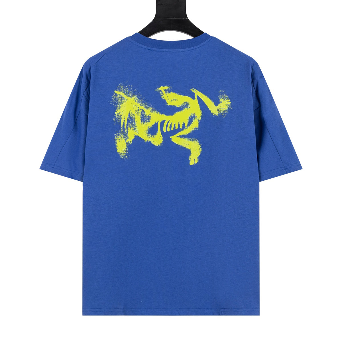 Arc'teryx Kragg SL Cotton Arc'Word Spray Bird SS T‑Shirt