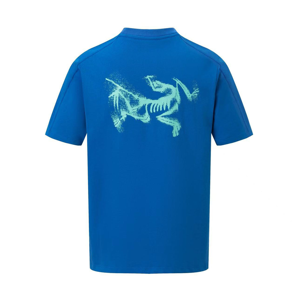 Arc'teryx Chest Logo & Back Distressed Skeleton Bird Unisex T-Shirt