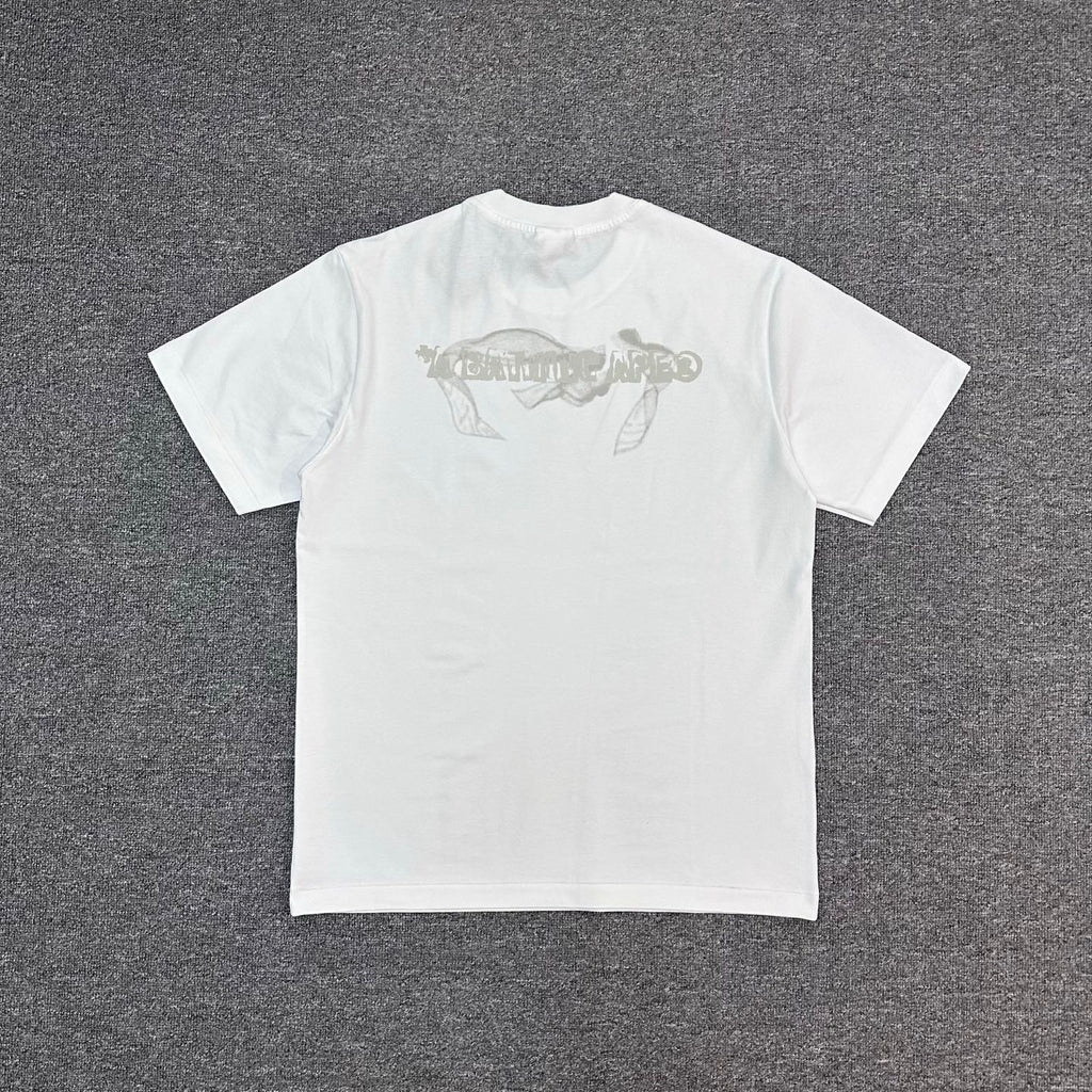 BAPE FW25 Mosquito Coil Ink Wash Ape Sumi-E Oversized Heavyweight Unisex T-Shirt