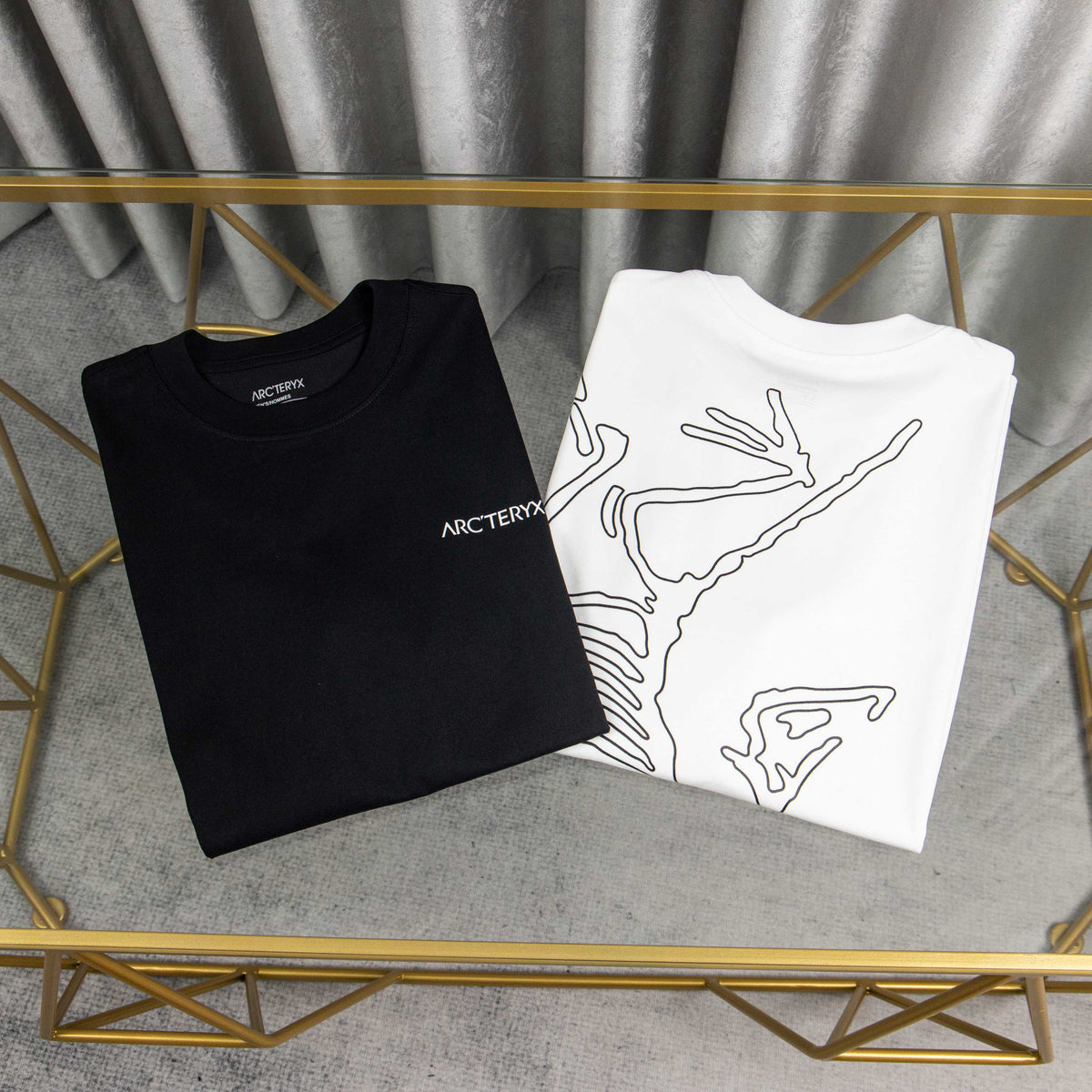 Arc'teryx Front Logo & Back Skeleton Bird Line-Art Unisex T-Shirt