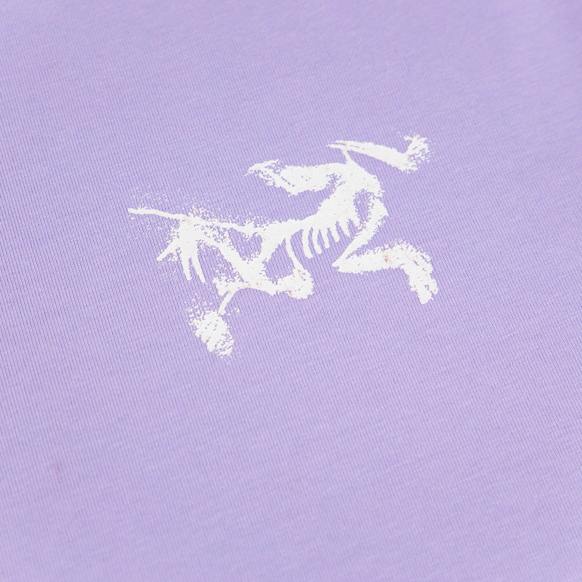 Arc'teryx Collage Skeleton Bird Graphic Unisex T-Shirt