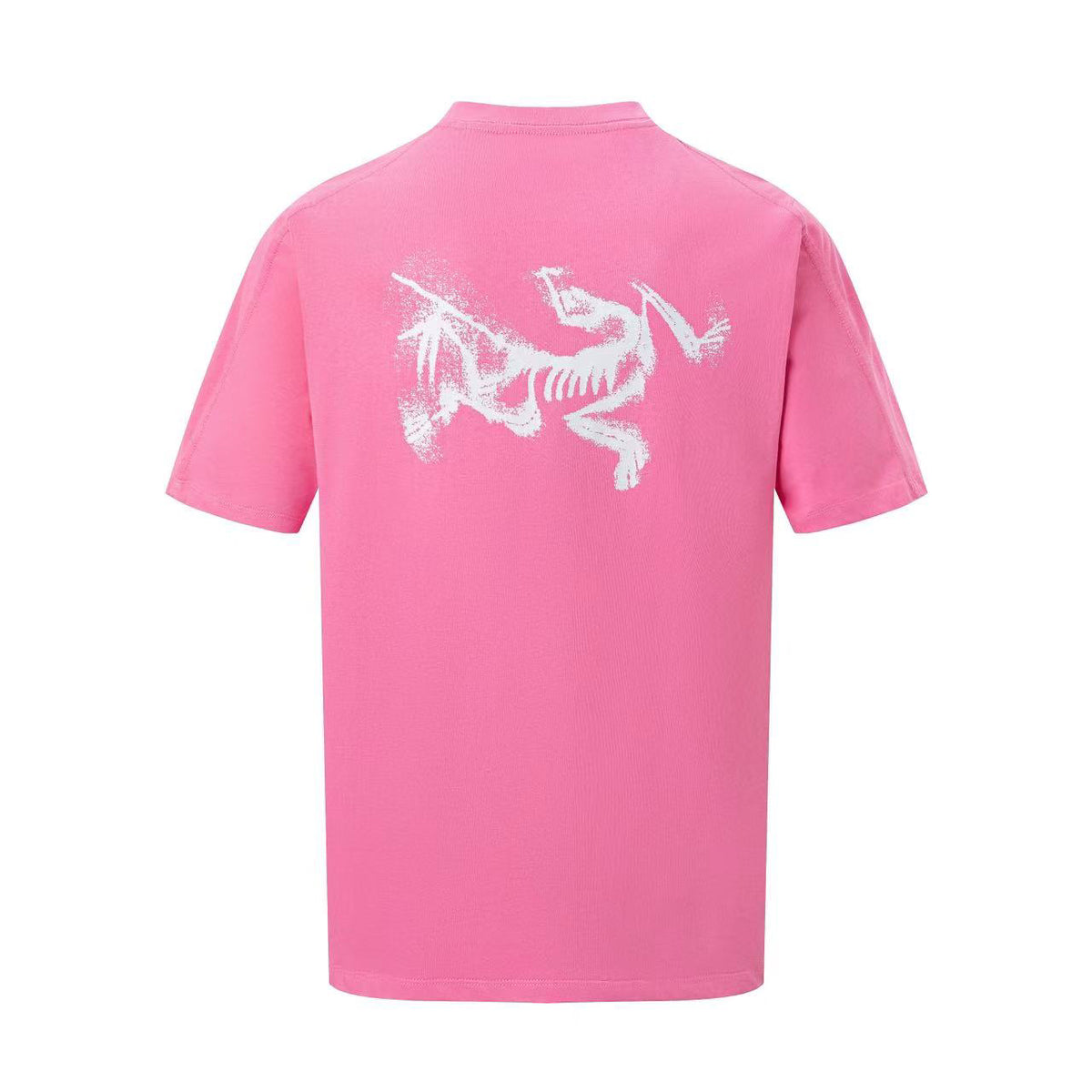 Arc'teryx Chest Logo & Back Distressed Skeleton Bird Unisex T-Shirt