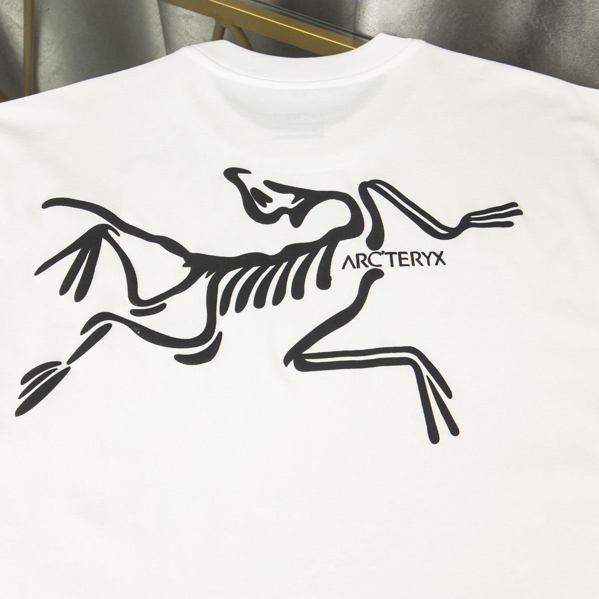 Arc'teryx ARC25FW Puff Print Skeleton Bird Heavyweight Unisex T-Shirt