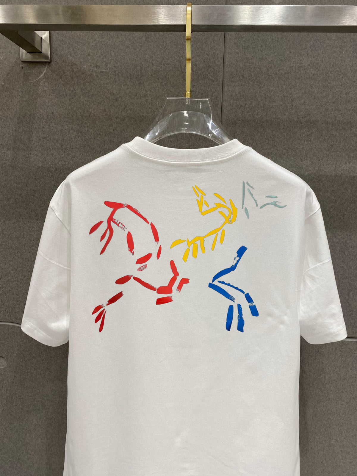Arc'teryx Multi‑Fossil‑Bird Front‑Chest & Back Graphic SS T‑Shirt