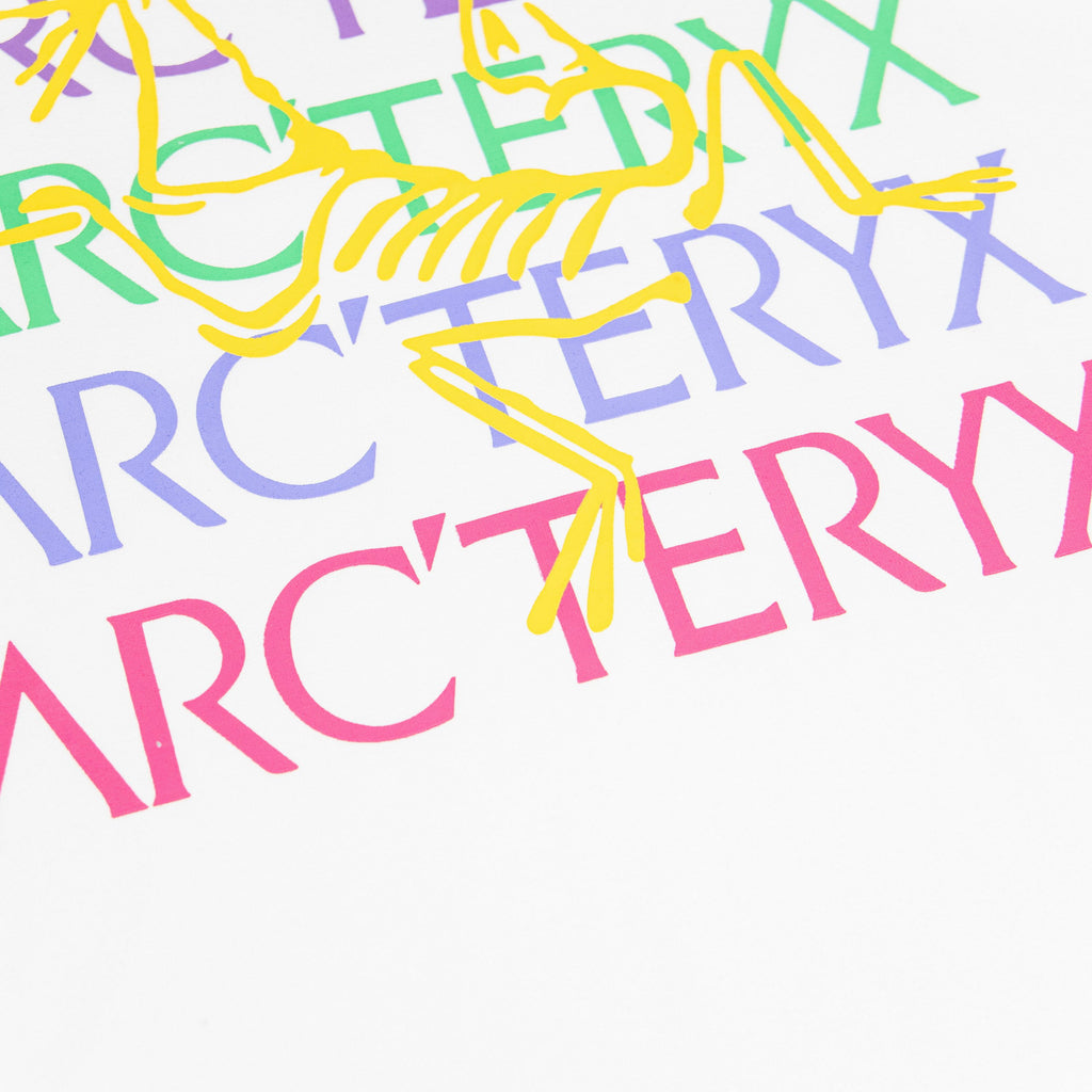 Arc'teryx Rainbow Multi-Color Logo Print Oversized T-Shirt