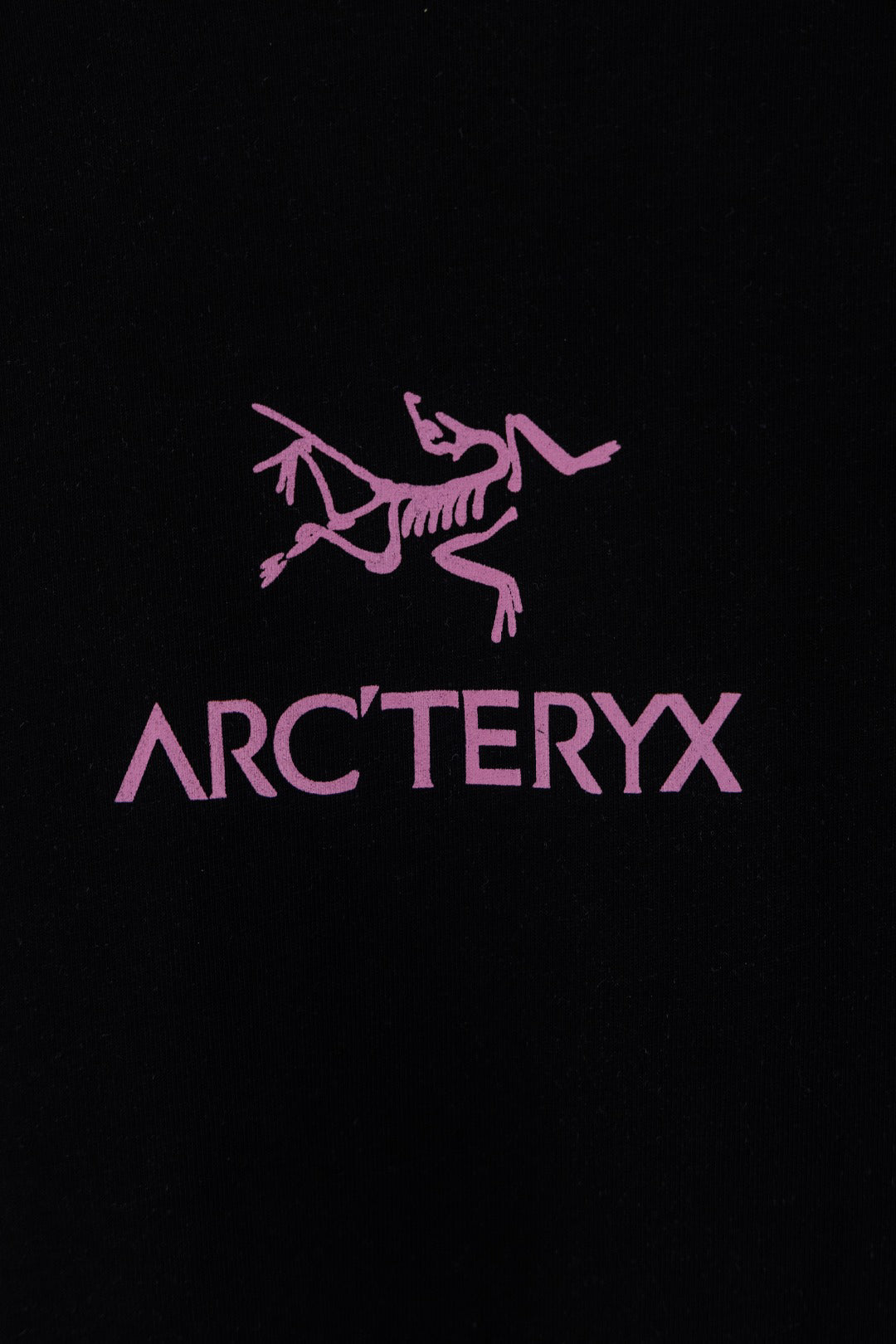 Arc'teryx Men Crew Neck T‑Shirt Back Skeleton Bird Grid Print White Street Casual Tee