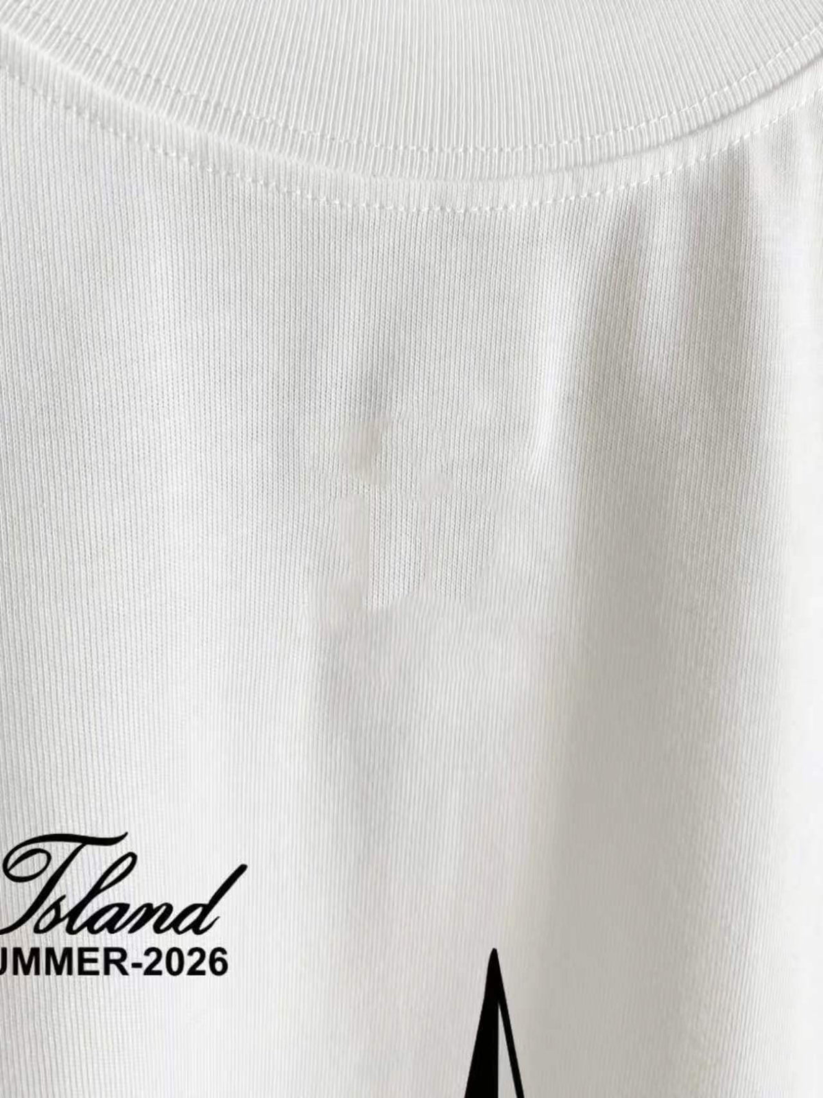 Stone Island Archivio Summer 2025 Four-Point Star Wordmark Print T-Shirt - Gray / White