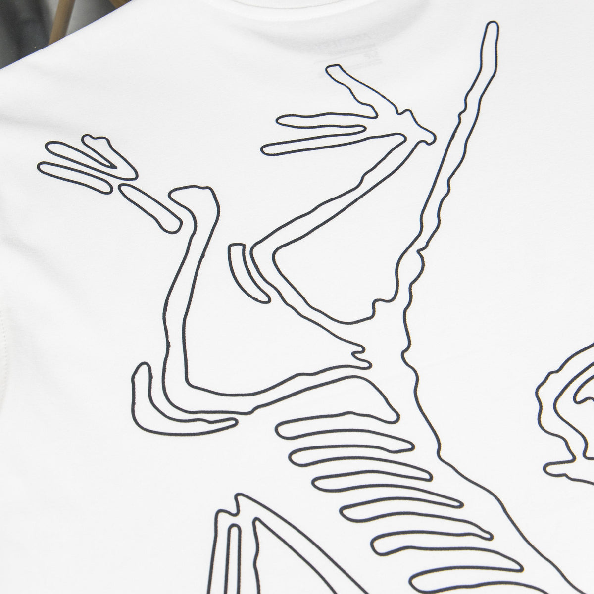 Arc'teryx Front Logo & Back Skeleton Bird Line-Art Unisex T-Shirt