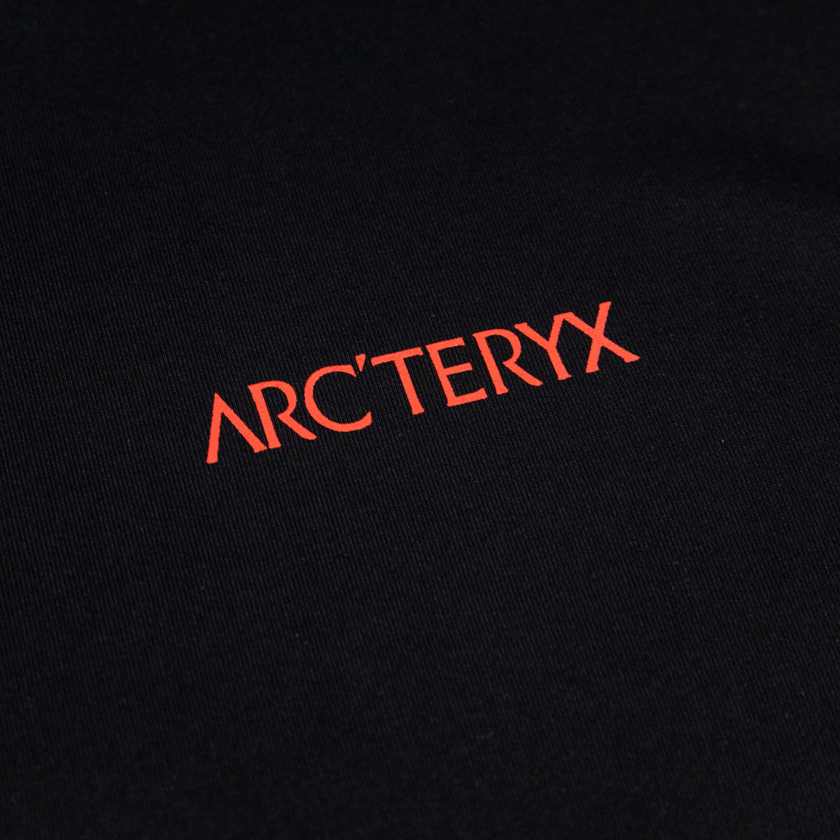 Arc'teryx 2025 FW Minimalist Blue Logo Oversized T-Shirt