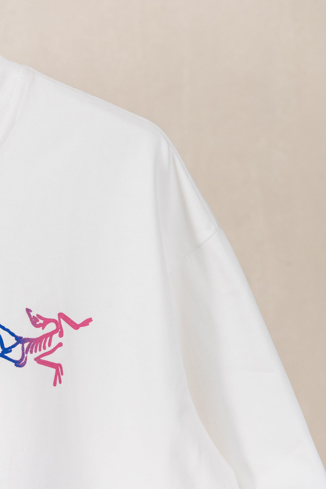 Arc'teryx Kragg Cotton Gradient Little Bird Short‑Sleeve T‑Shirt (Unisex)