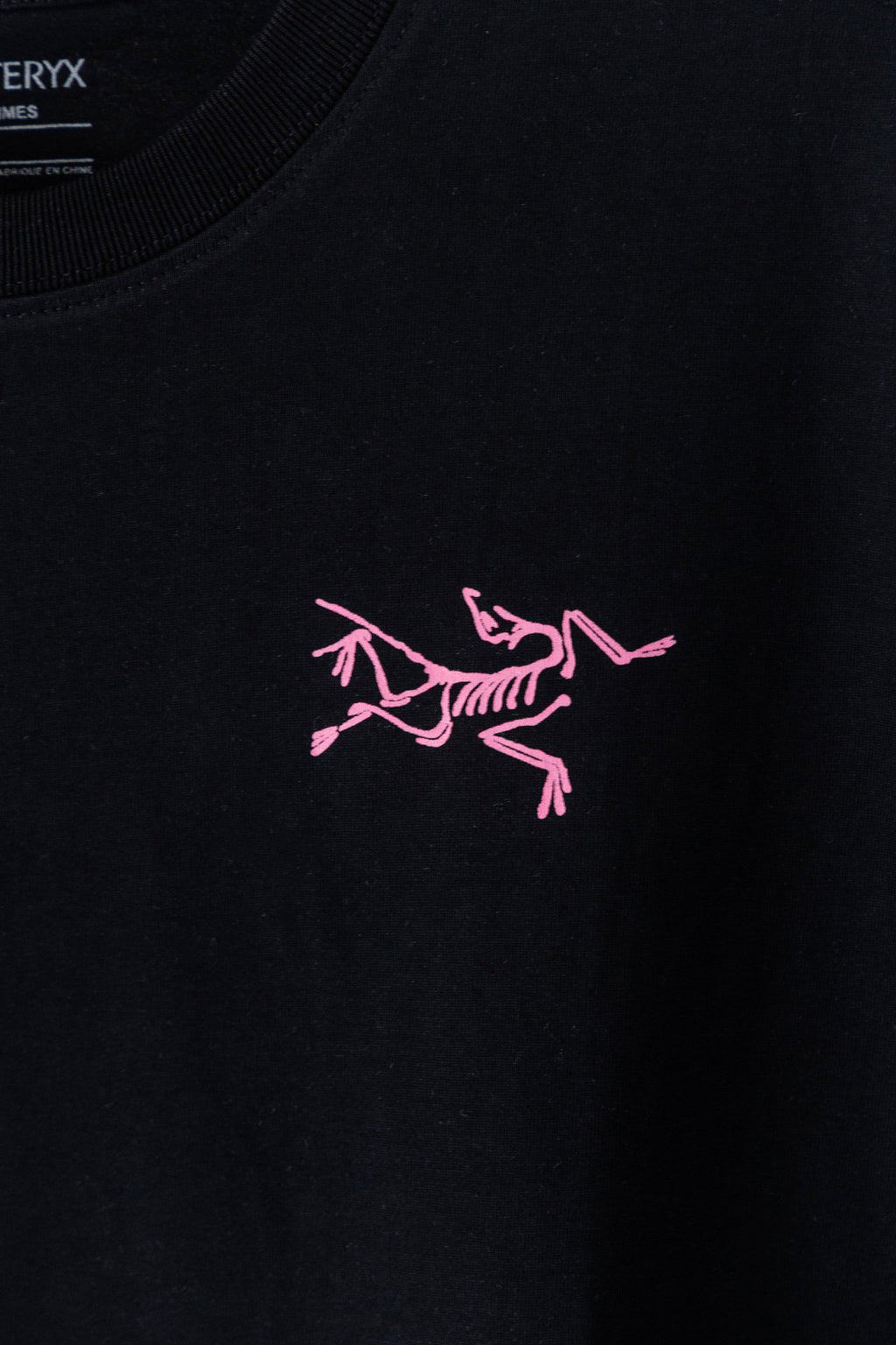 Arc'teryx Kragg Cotton Little Bird Short‑Sleeve T‑Shirt