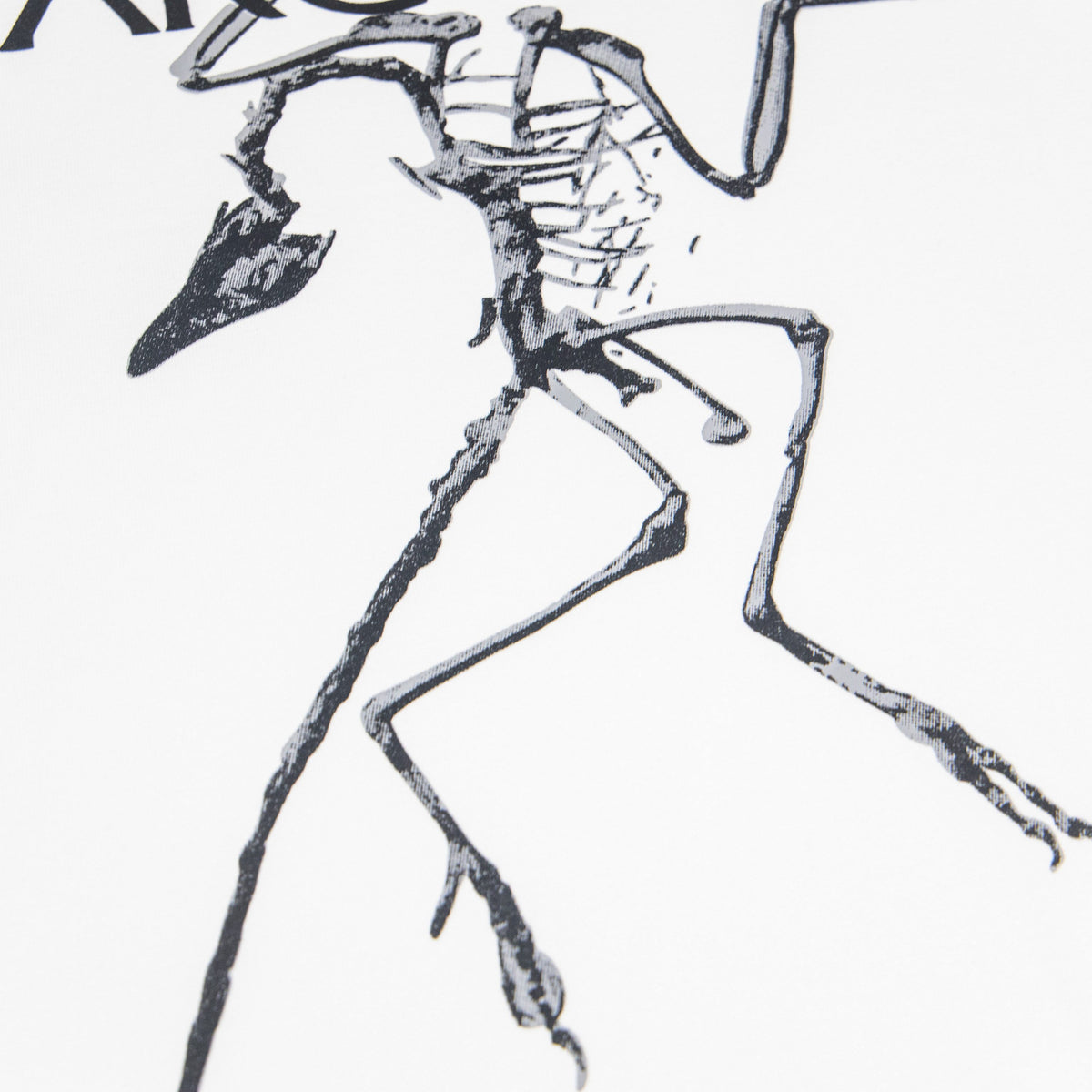Arc'teryx Skeleton Bird Graphic Unisex T-Shirt