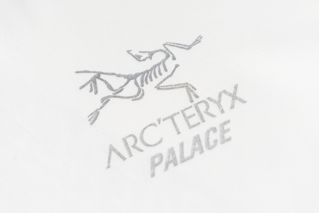 Arc'teryx x Palace Tri‑Logo Collaboration SS T‑Shirt