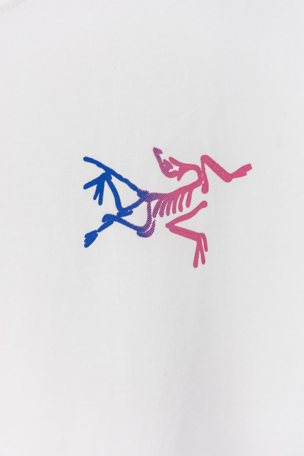 Arc'teryx Kragg Cotton Gradient Little Bird Short‑Sleeve T‑Shirt (Unisex)