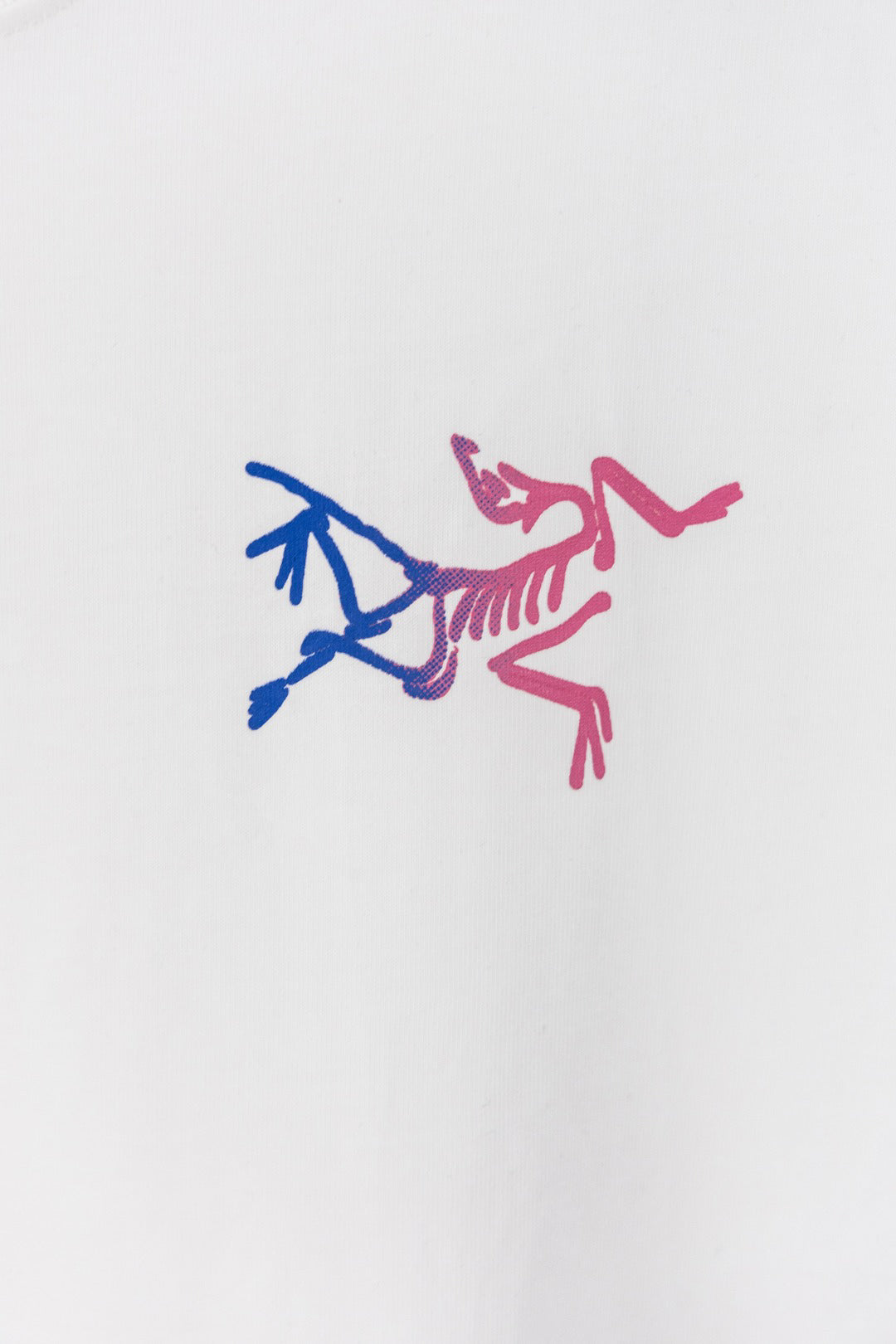 Arc'teryx Kragg Cotton Gradient Little Bird Short‑Sleeve T‑Shirt (Unisex)
