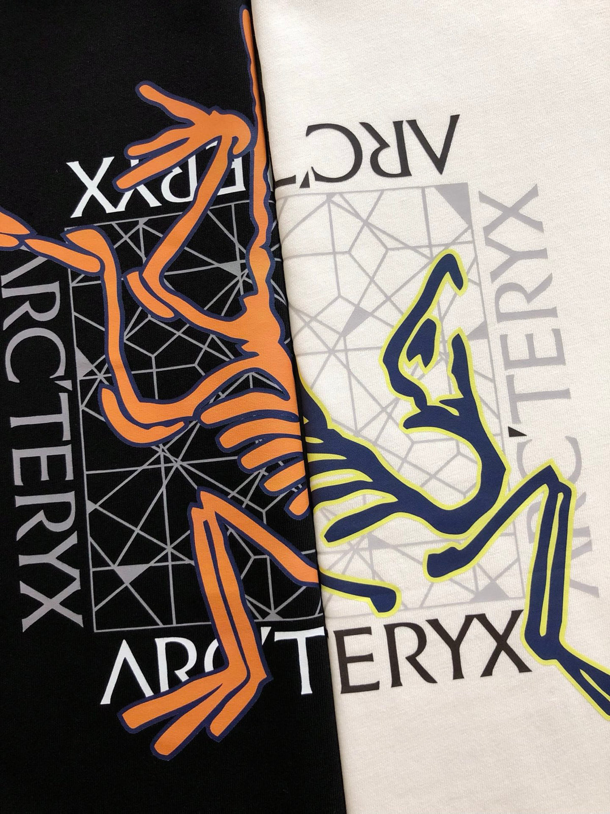 Geometric Frame Fossil‑Bird Graphic Print Short‑Sleeve T‑Shirt