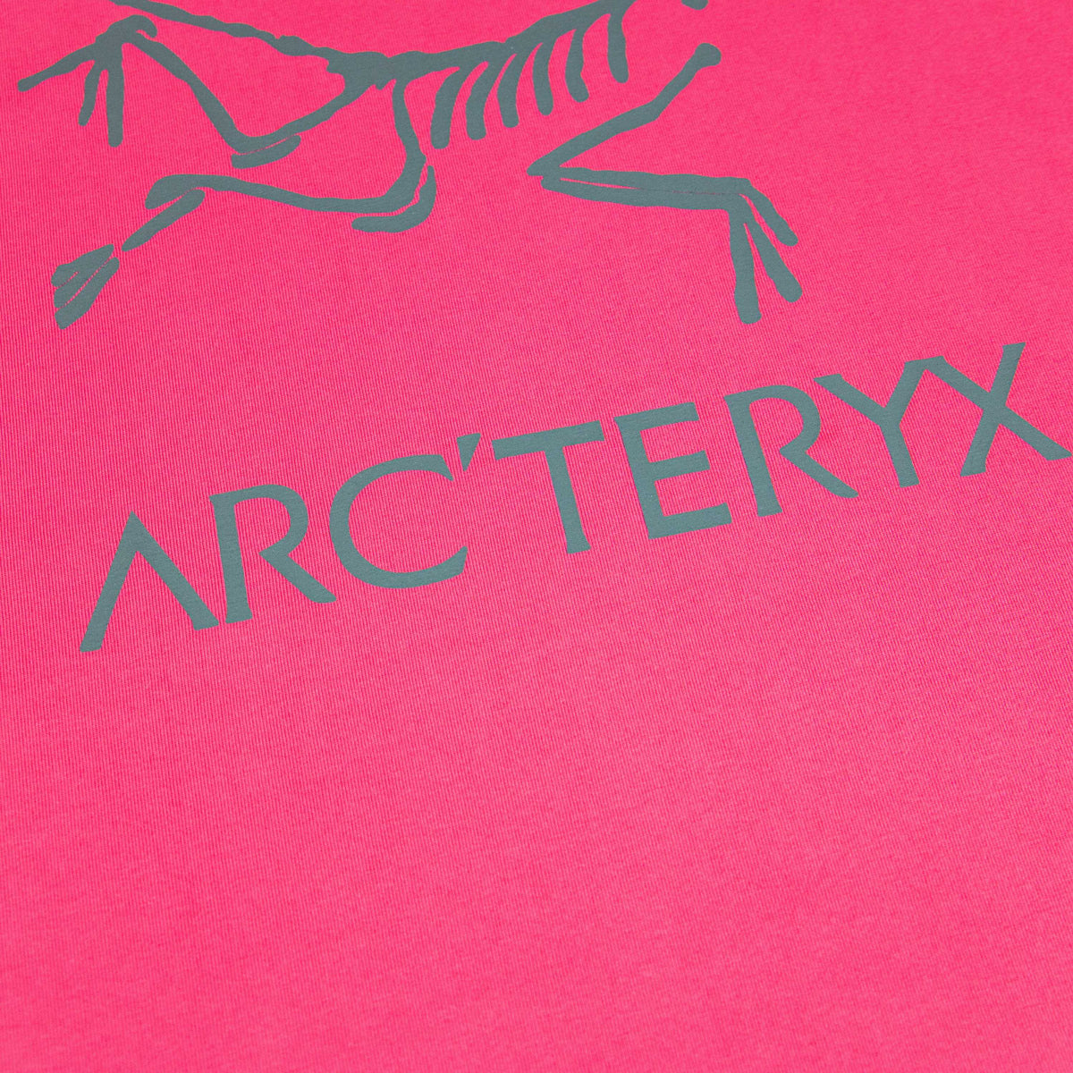 Arc'teryx ARC25FW Five-Stitch Seam Skeleton Bird Logo Unisex T-Shirt