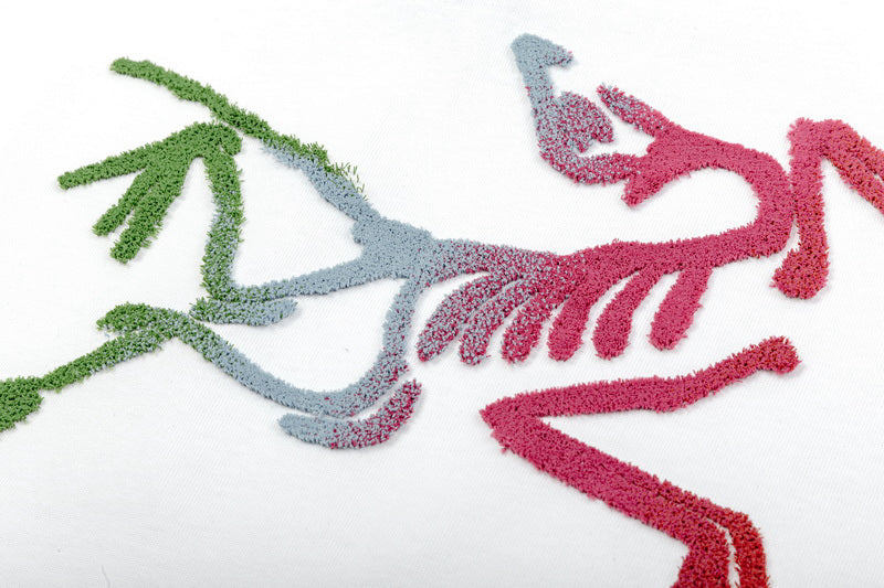 Arc'teryx Gradient Multi‑Color Fossil‑Bird Graphic SS T‑Shirt
