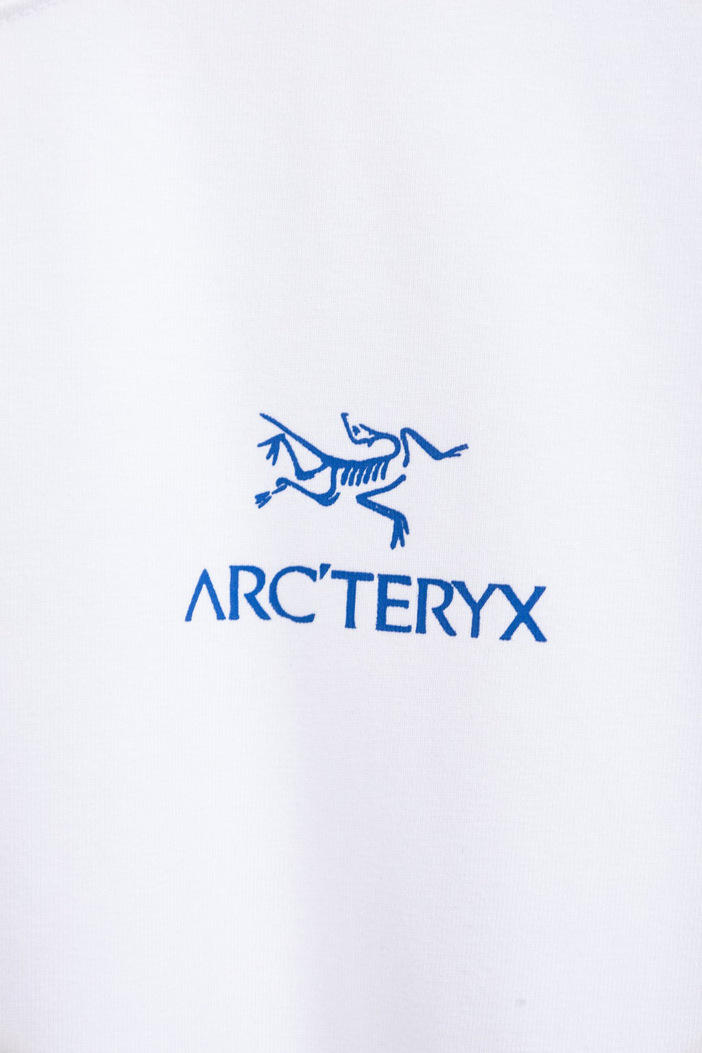 Arc'teryx Mammoth Graphic Crew Neck Short‑Sleeve T‑Shirt, Unisex Relaxed Fit Tee