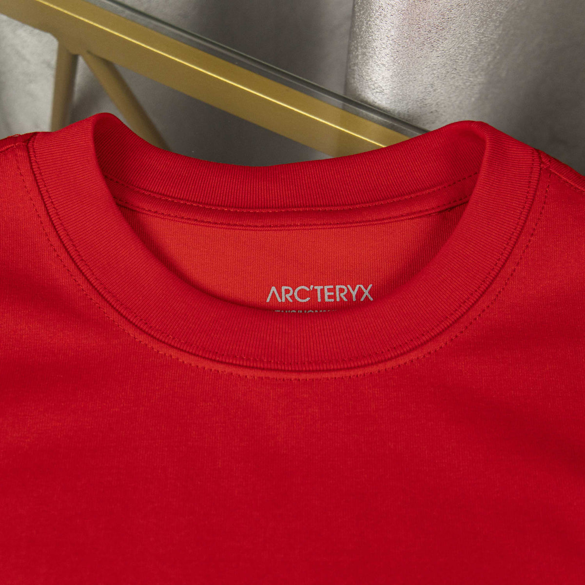 Arc'teryx ARC25FW Red Oversized Skeleton Bird Heavyweight Unisex T-Shirt