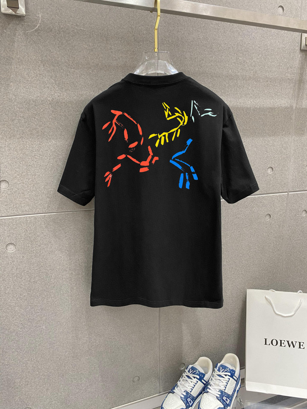 Arc'teryx Multi‑Fossil‑Bird Front‑Chest & Back Graphic SS T‑Shirt