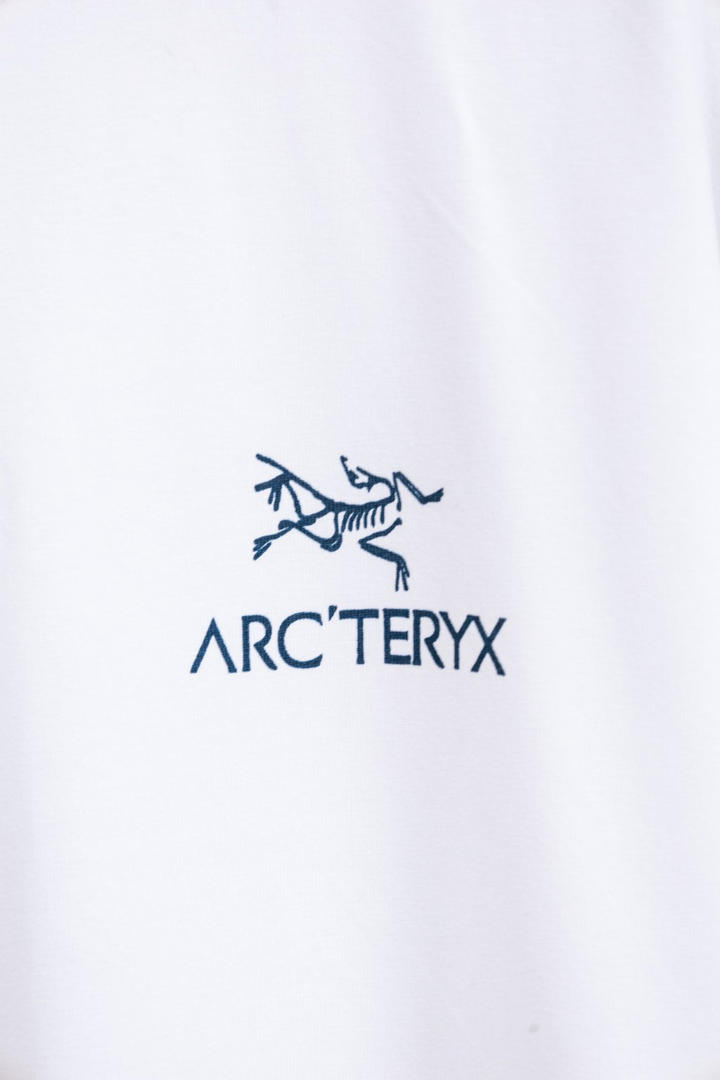 Arc'teryx Mountain Graphic Crew Neck Short‑Sleeve T‑Shirt, Unisex Relaxed Fit Tee