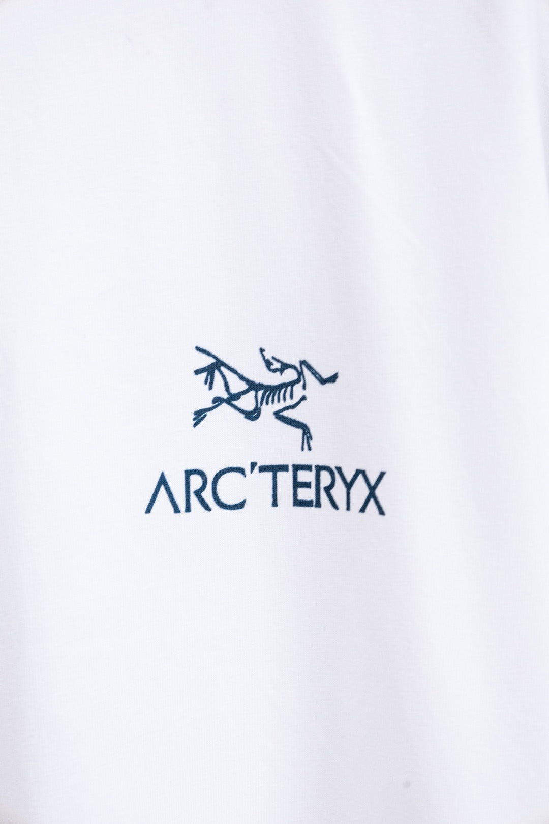 Arc'teryx Mountain Graphic Crew Neck Short‑Sleeve T‑Shirt, Unisex Relaxed Fit Tee