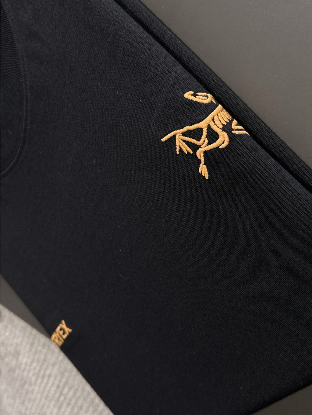 Arc'teryx Gold Archaeopteryx & Wordmark Chest Embroidery 260gsm Double-Yarn Unisex T-Shirt