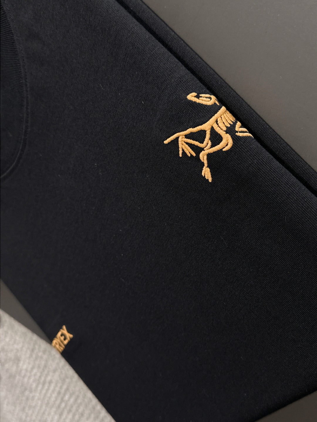 Arc'teryx Gold Archaeopteryx & Wordmark Chest Embroidery 260gsm Double-Yarn Unisex T-Shirt