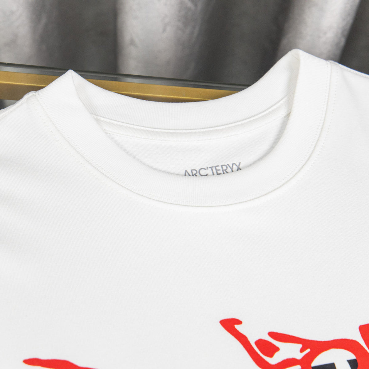 Arc'teryx Red Bird Graffiti Logo Oversized T-Shirt