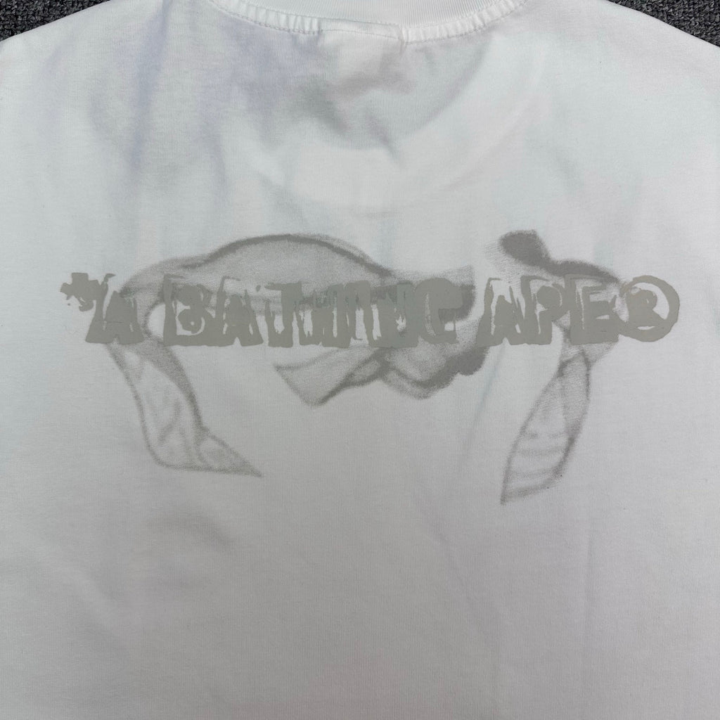 BAPE FW25 Mosquito Coil Ink Wash Ape Sumi-E Oversized Heavyweight Unisex T-Shirt