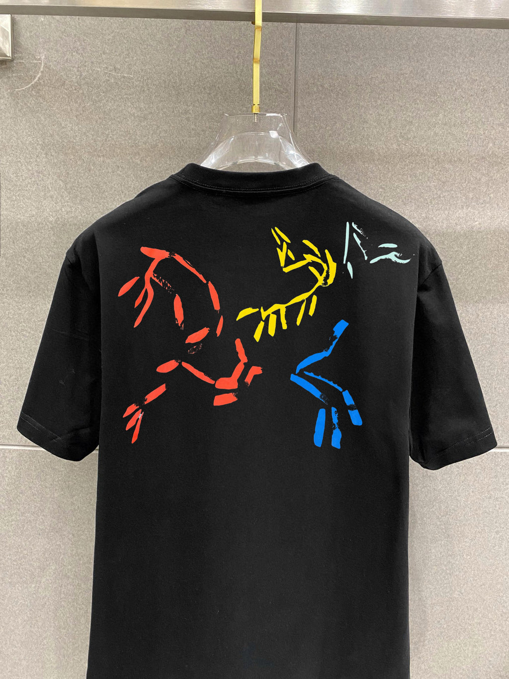 Arc'teryx Multi‑Fossil‑Bird Front‑Chest & Back Graphic SS T‑Shirt