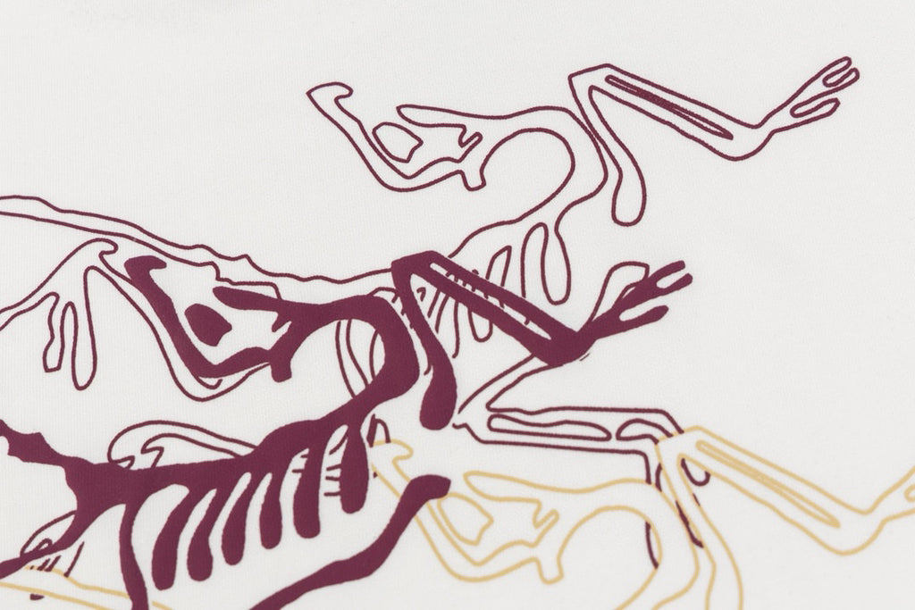 Arc'teryx Multi‑Layer Fossil Bird Graphic SS T‑Shirt