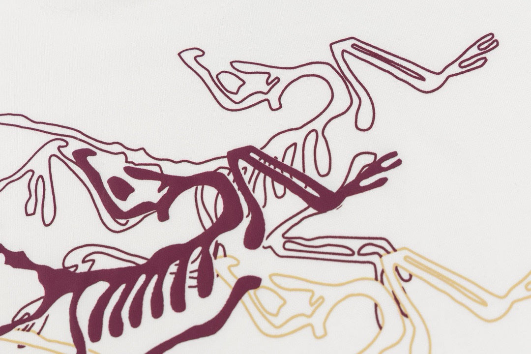 Arc'teryx Multi‑Layer Fossil Bird Graphic SS T‑Shirt