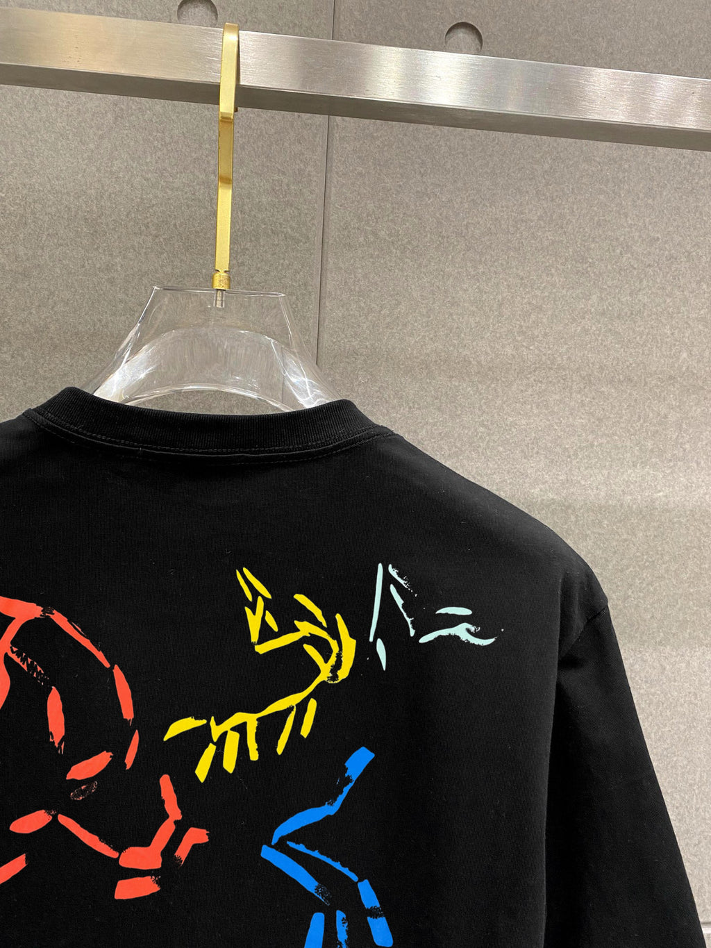 Arc'teryx Multi‑Fossil‑Bird Front‑Chest & Back Graphic SS T‑Shirt